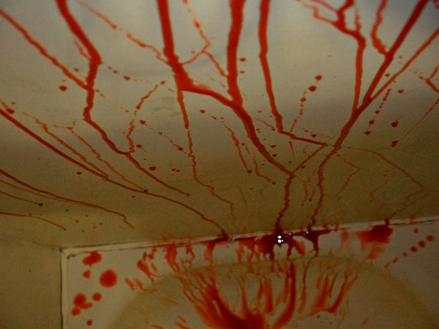 4023670698_5e66732810_z